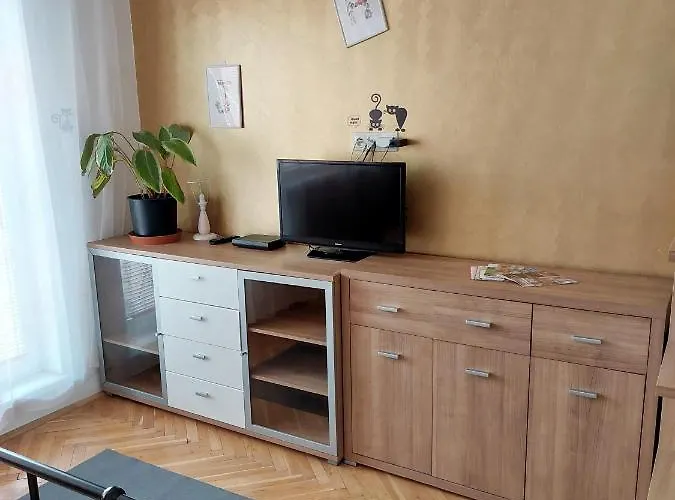 Near Bus Station With The Self-check-in Bratislava